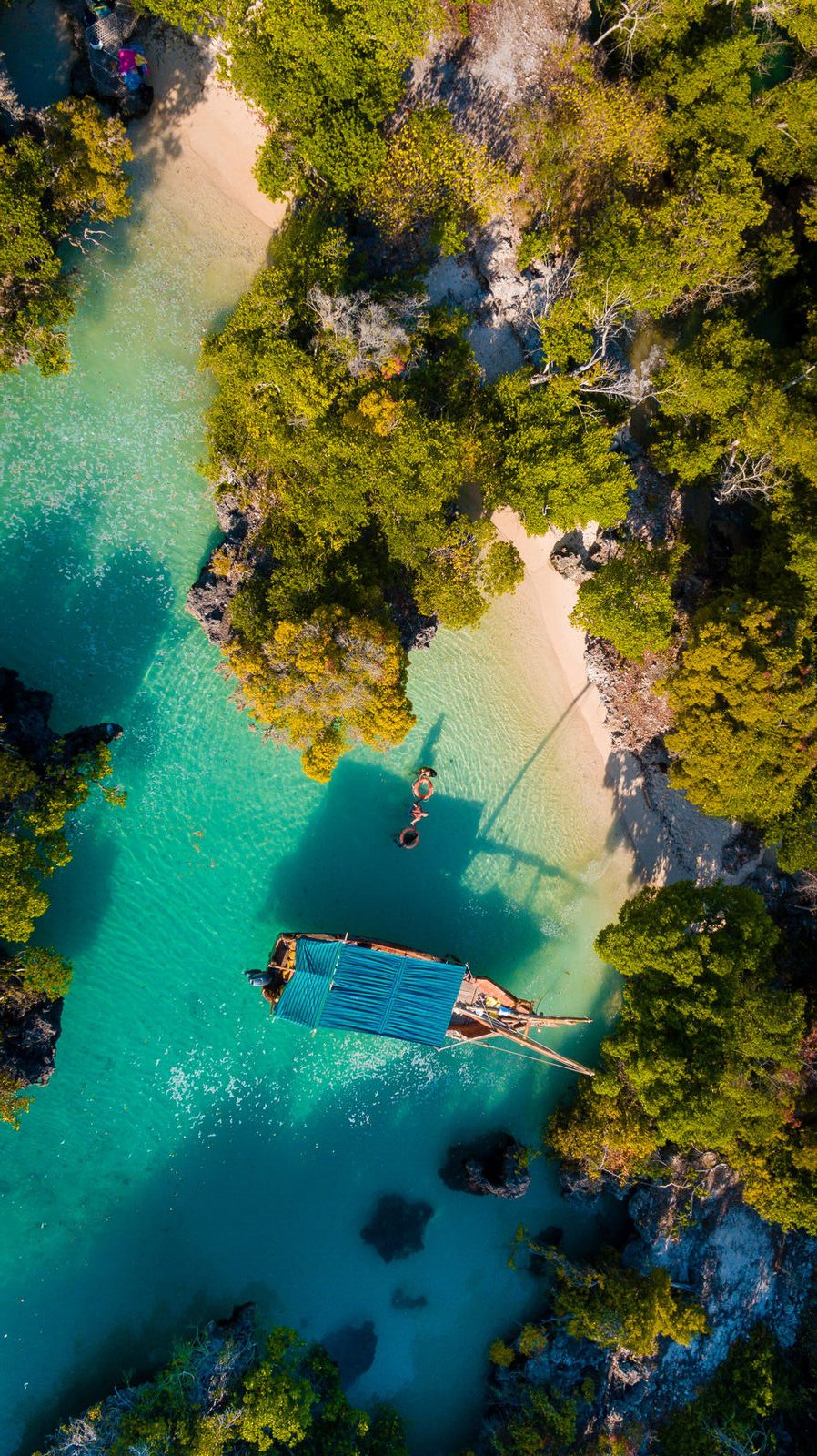 Dhow moored in a mangrove cove, Zanzibar