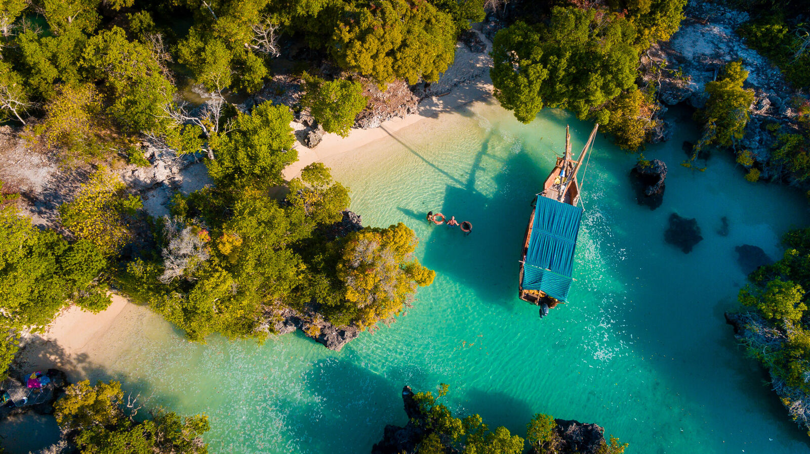 Dhow moored in a mangrove cove, Zanzibar