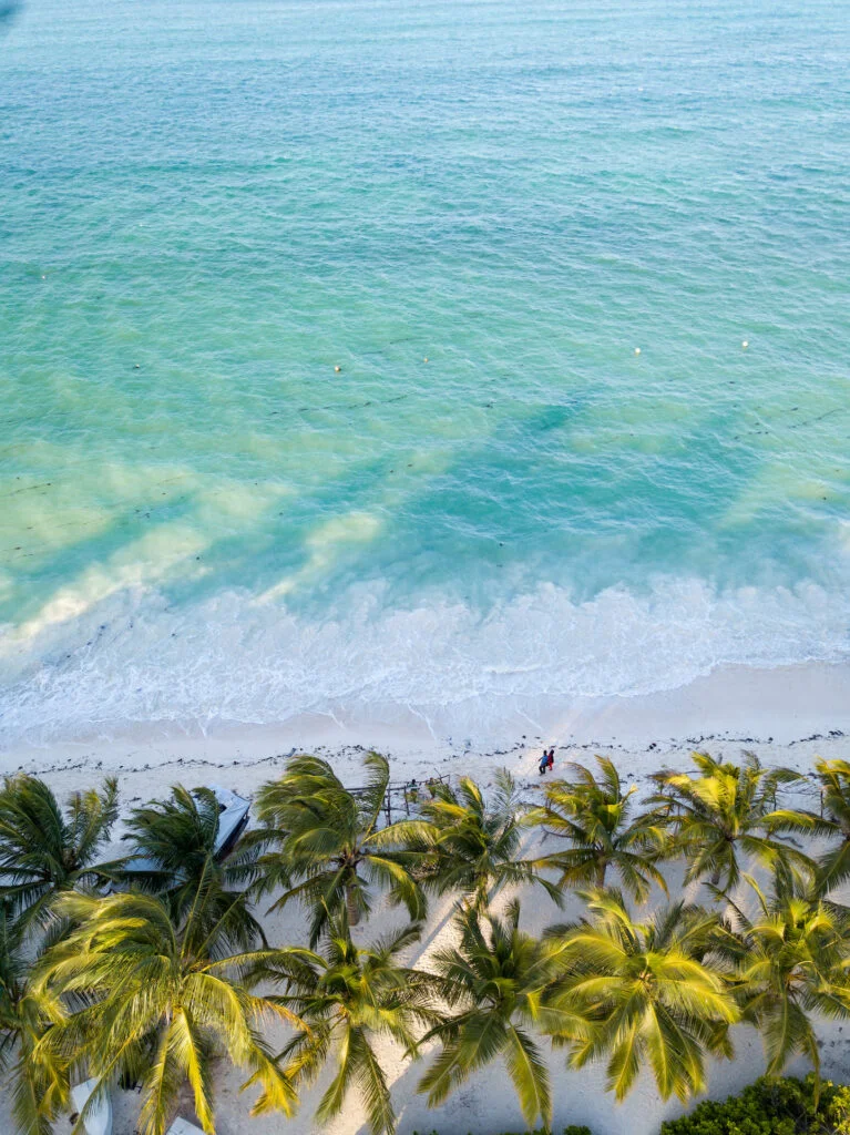 Palms framing the beach, Zanzibar